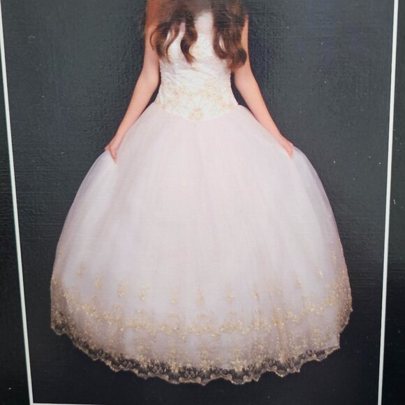 Gorgeous Light Blush Pink Formal Ball Gown Dress - Picture 11 of 12